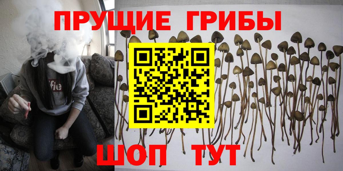 Галлюциногенные грибы прущие грибы Клин