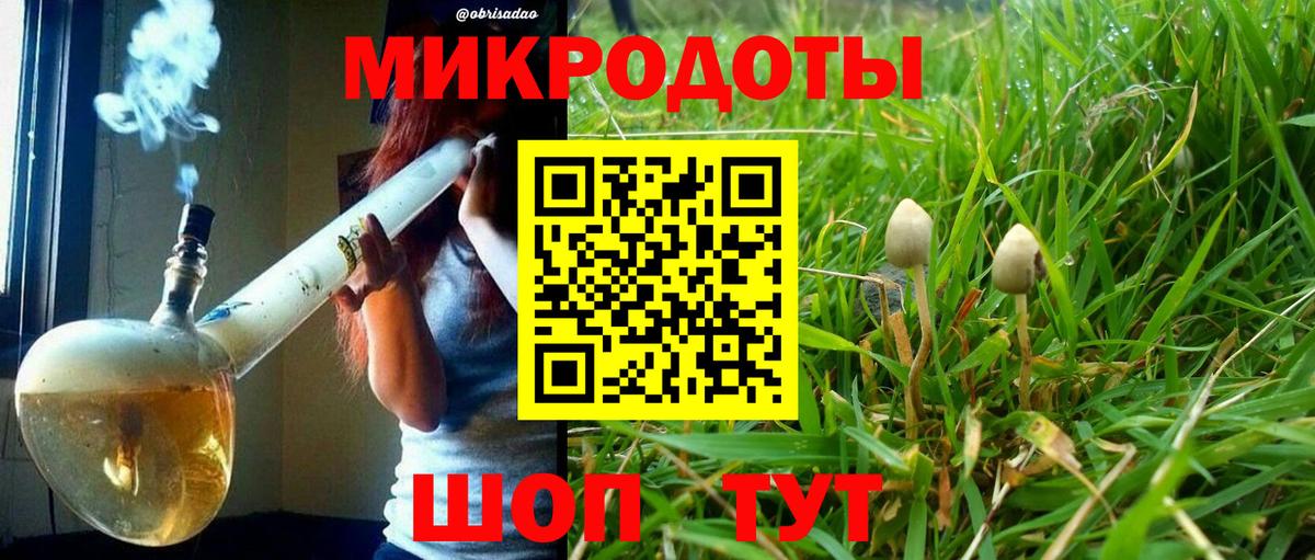 Клин  наркошоп  Вход с VPN  Псилоцибиновые грибы GOLDEN TEACHER 